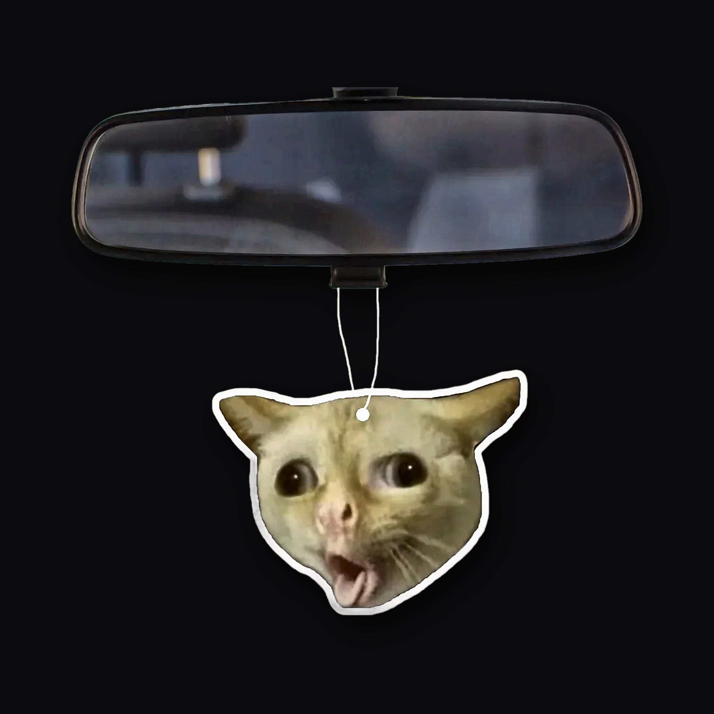 Coughing Cat card hanging from a mirror