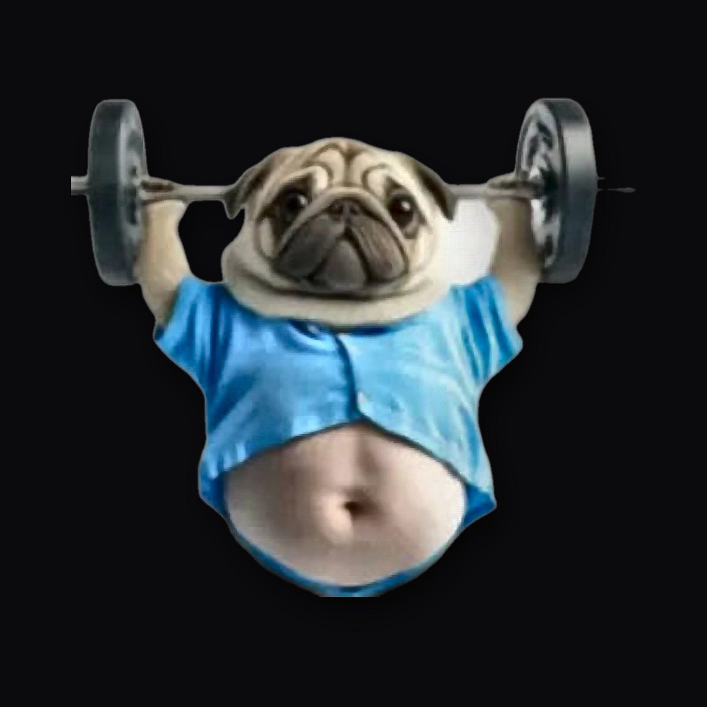 Gym pug acrylic panel close up