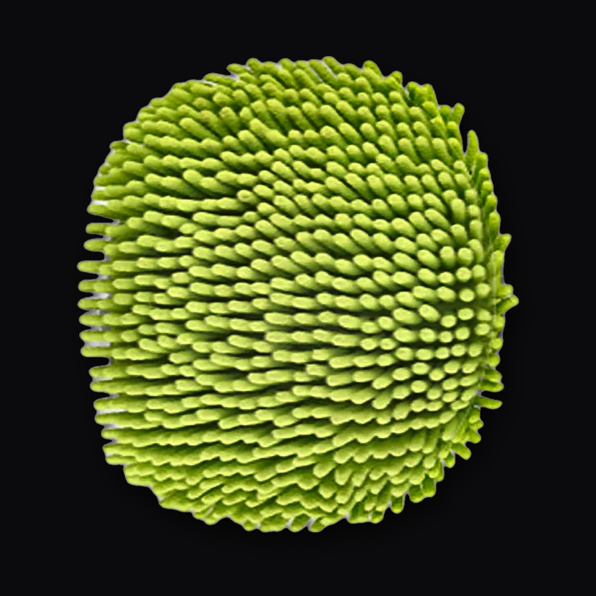 Chenille microfibre wash head close up